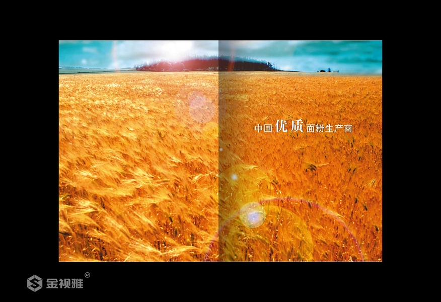 济南个人宣传册设计_宣传册设计公司